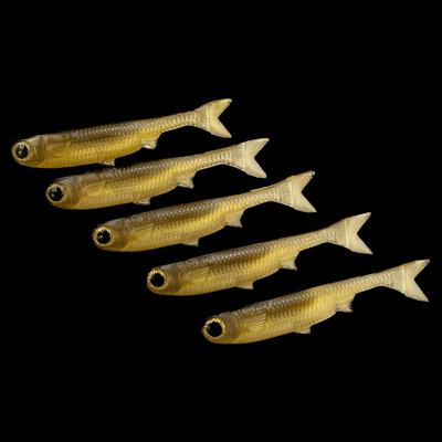 K-Tails