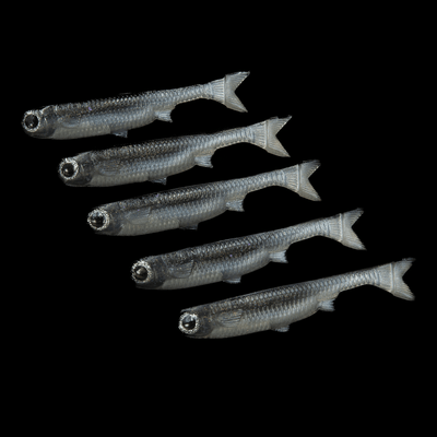 K-Tails