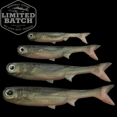 LTD - K-Tails