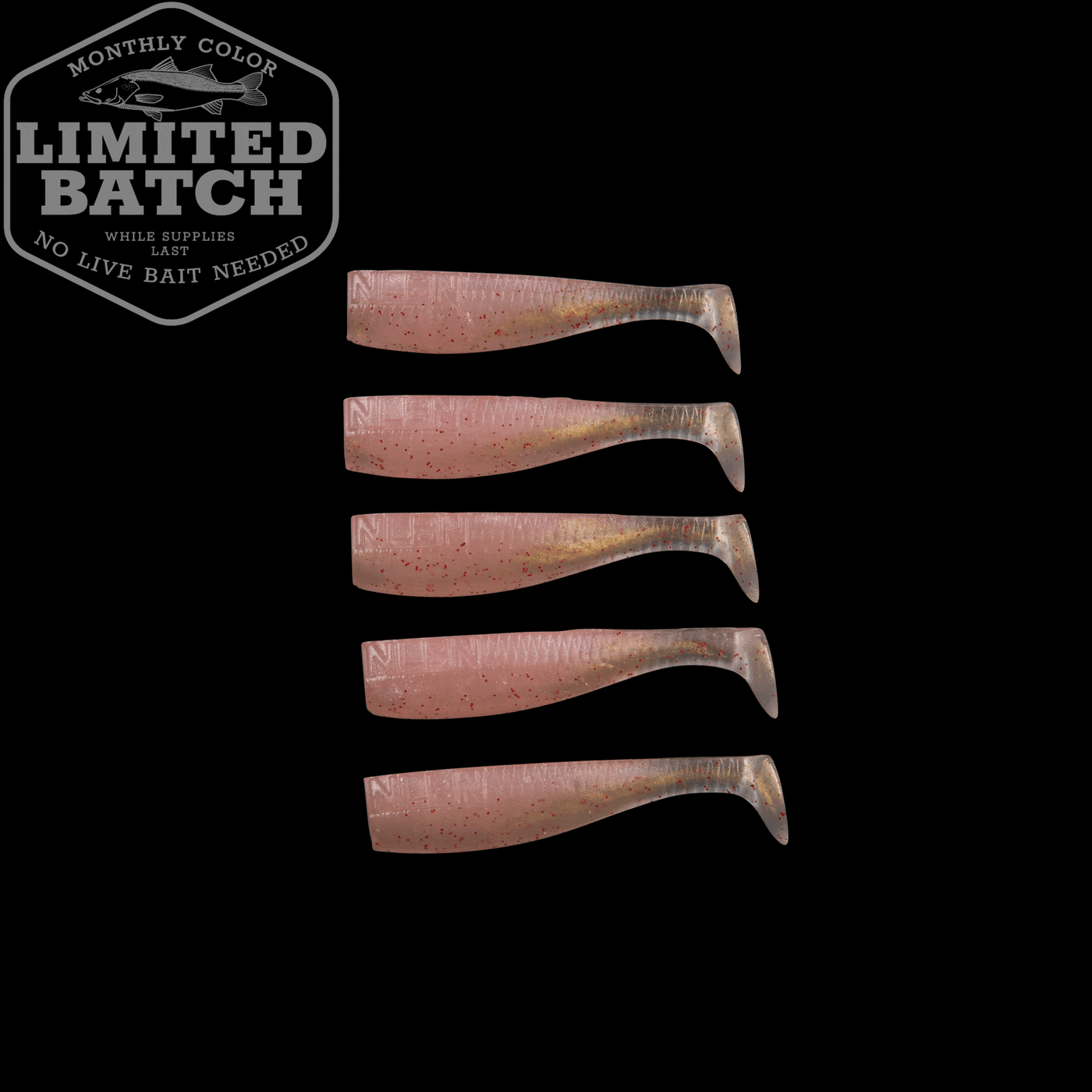 LTD - 3" Paddle Tail