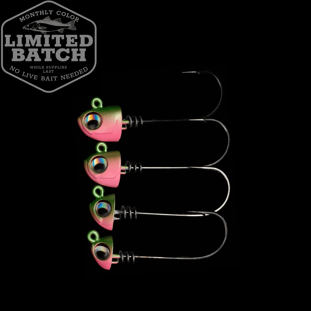 期間限定特別価格 Premium fishing  ファングッズ